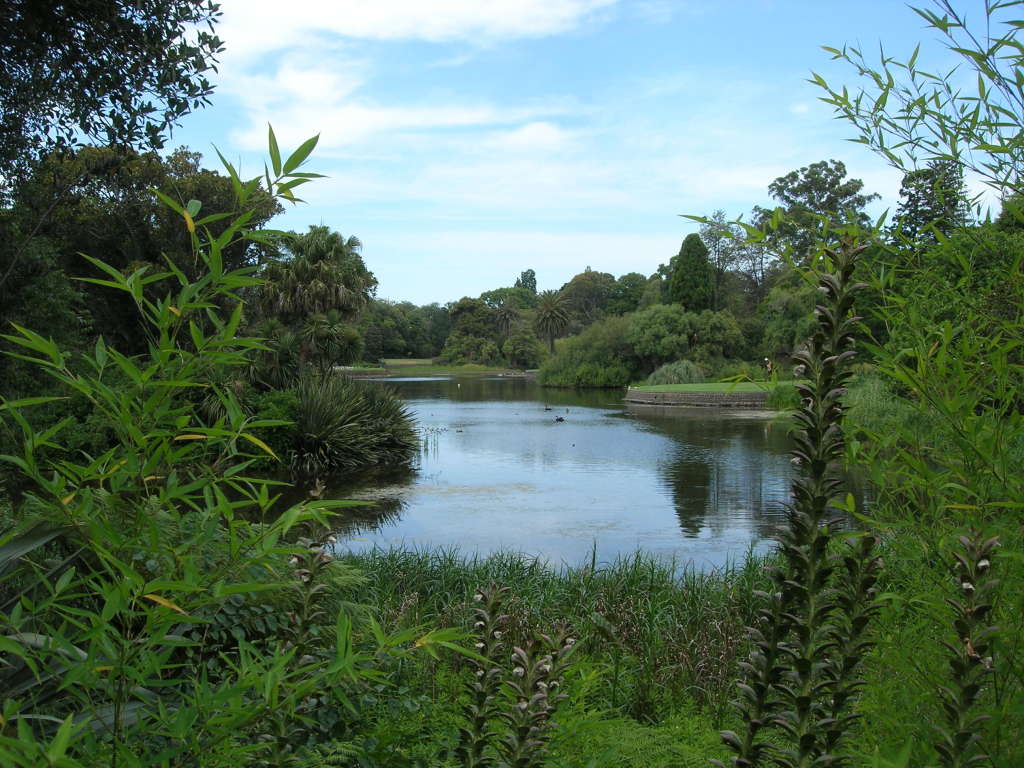 Scaled image 0160_royal_botanic_gardens.jpg 